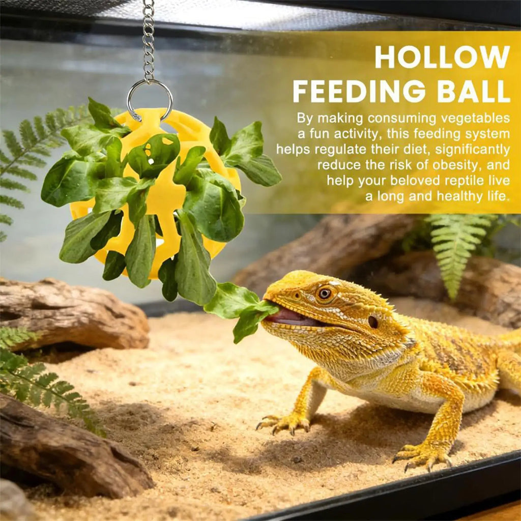 The Dragon Bell Set — Suction Cup Enrichment & Feeding Toy for Bearded Dragons & Geckos 🦎🔔