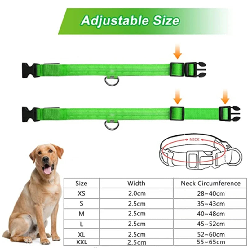 The Glow Up Collar — LED Luminous Dog Collar with Glitter Pendant, USB or Battery 🐕✨