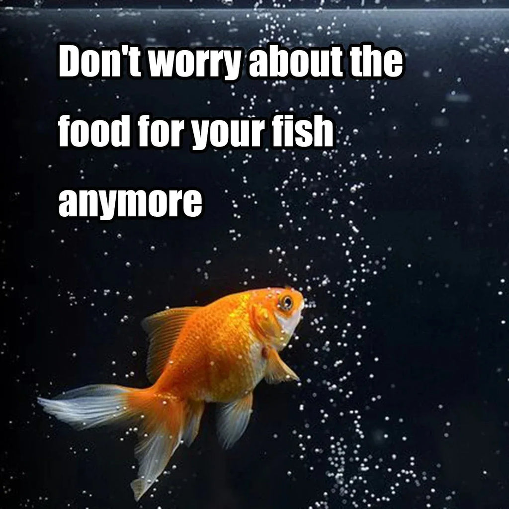 The Auto Feed — Programmable Automatic Fish Feeder for Aquariums 🐟⏰