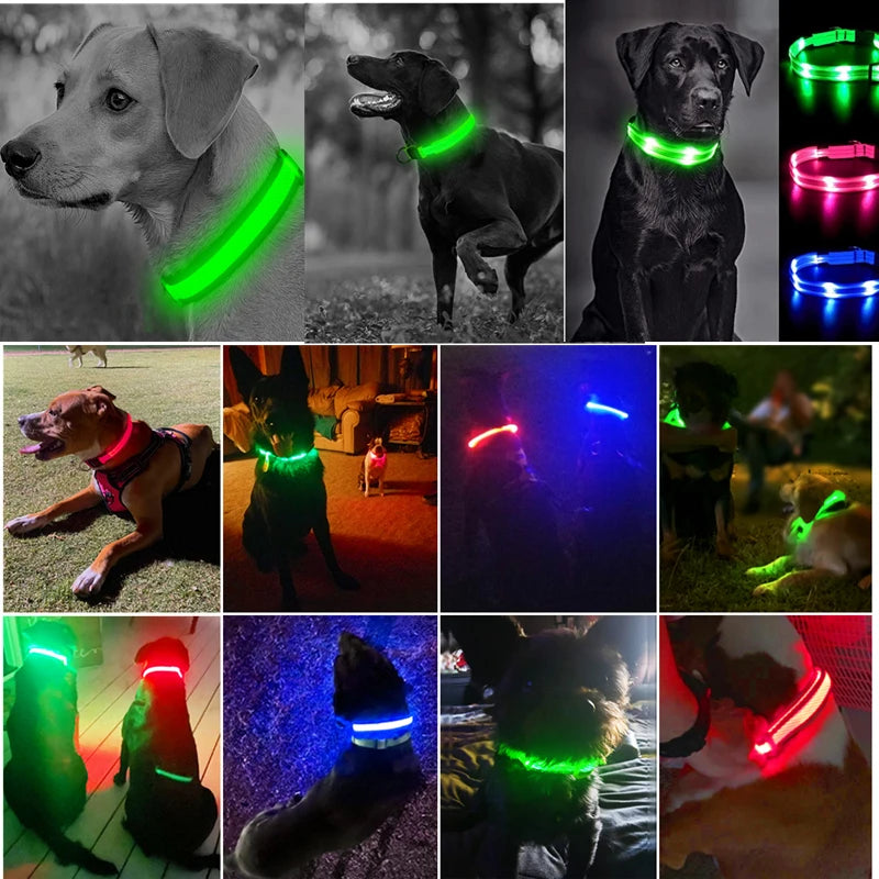 The Glow Up Collar — LED Luminous Dog Collar with Glitter Pendant, USB or Battery 🐕✨