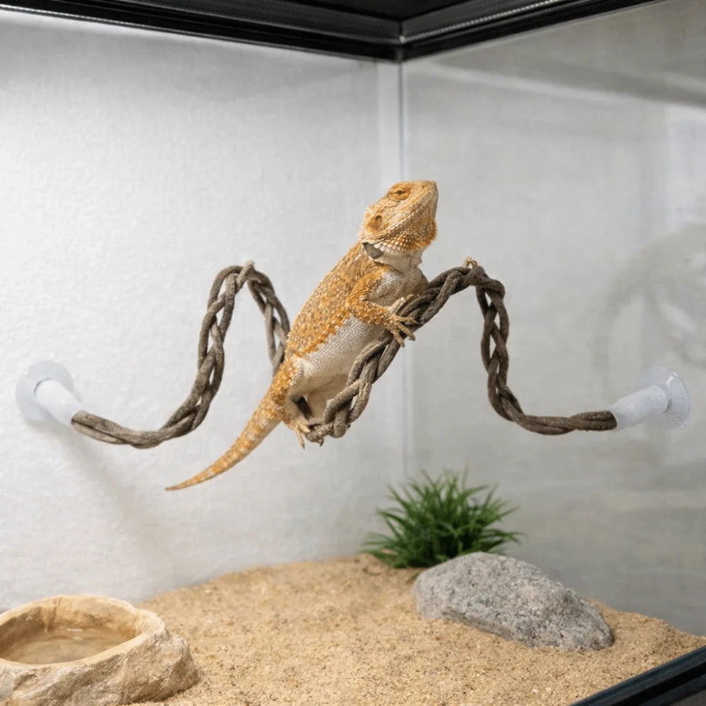 The Jungle Swing — Reptile Vine Hammock & Climbing Toy for Lizards & Birds 🦎🌿