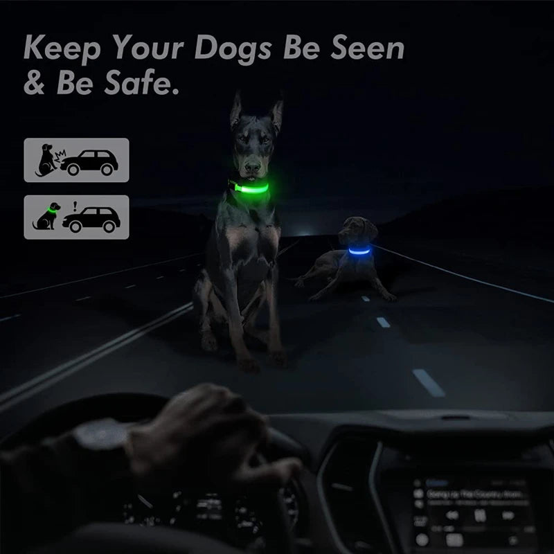 The Glow Up Collar — LED Luminous Dog Collar with Glitter Pendant, USB or Battery 🐕✨