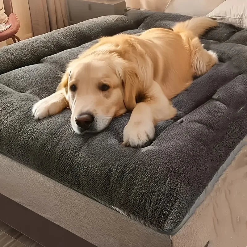 The Cloud Bed — Extra Large Plush Dog Sofa Bed, Thickened & Super Soft 🐶☁️