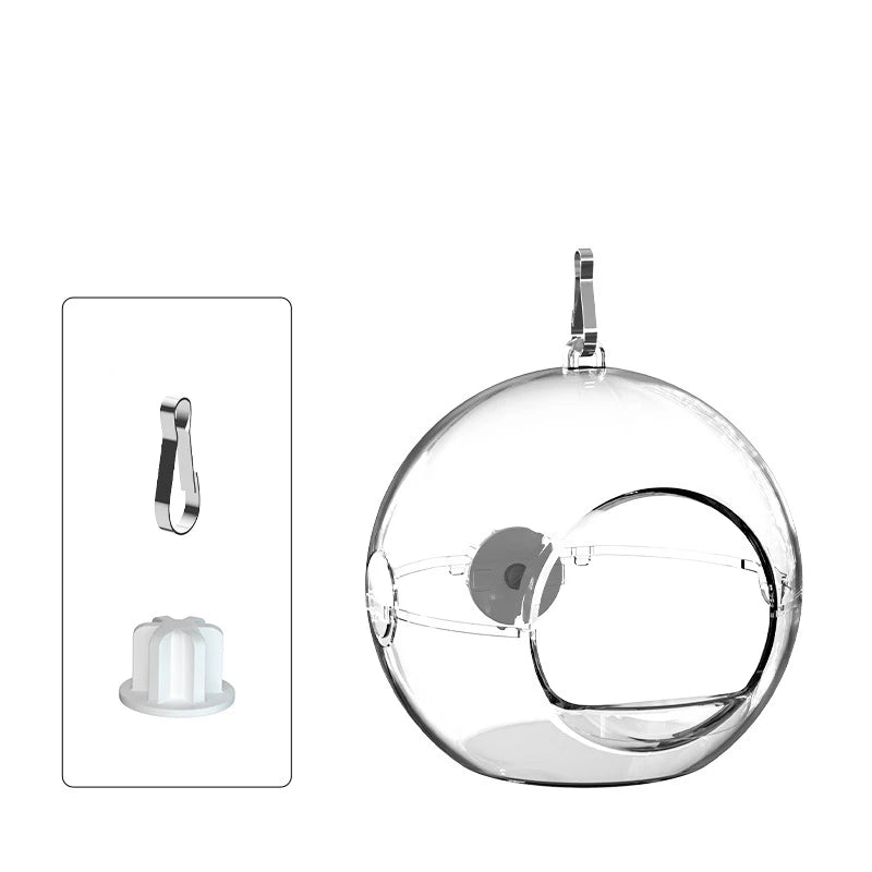 The Crystal Nest — Transparent Hanging Bird House for Parakeets & Small Parrots 🦜✨