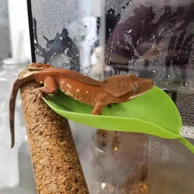 The Jungle Leaf Lounge — Simulated Leaf Terrarium Décor for Geckos & Tree Frogs 🦎🌿