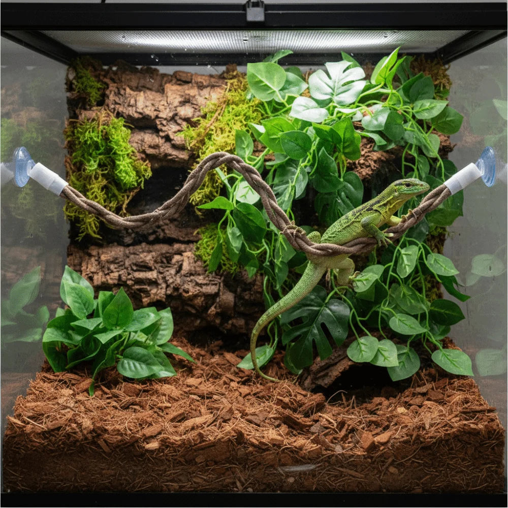 The Jungle Swing — Reptile Vine Hammock & Climbing Toy for Lizards & Birds 🦎🌿