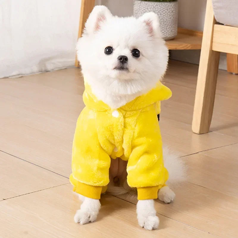 The Cosplay Cutie — Warm Fleece Pet Costume for Dogs & Cats 🦁🐾