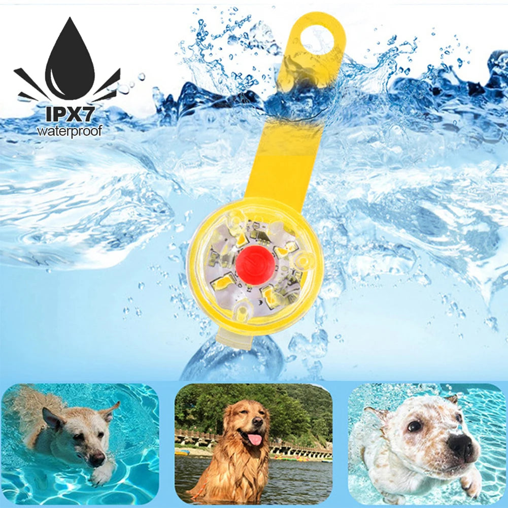 The Night Light Tag — USB Rechargeable LED Safety Pendant for Dogs & Cats 🐕💡
