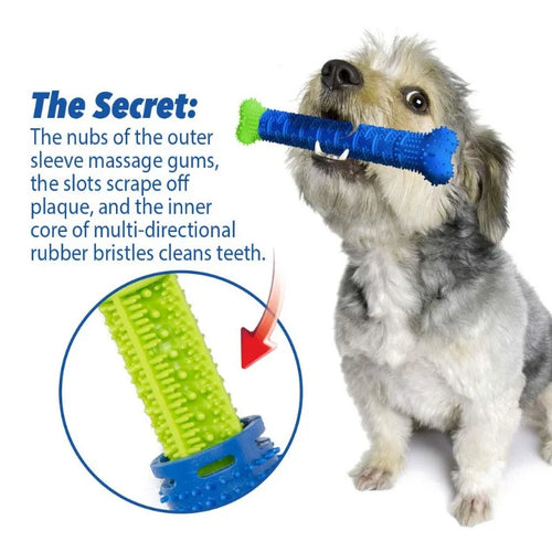 GrindClean Dog Chew Bone 🦴- Chew More. Stress Less. Smile Brighter.