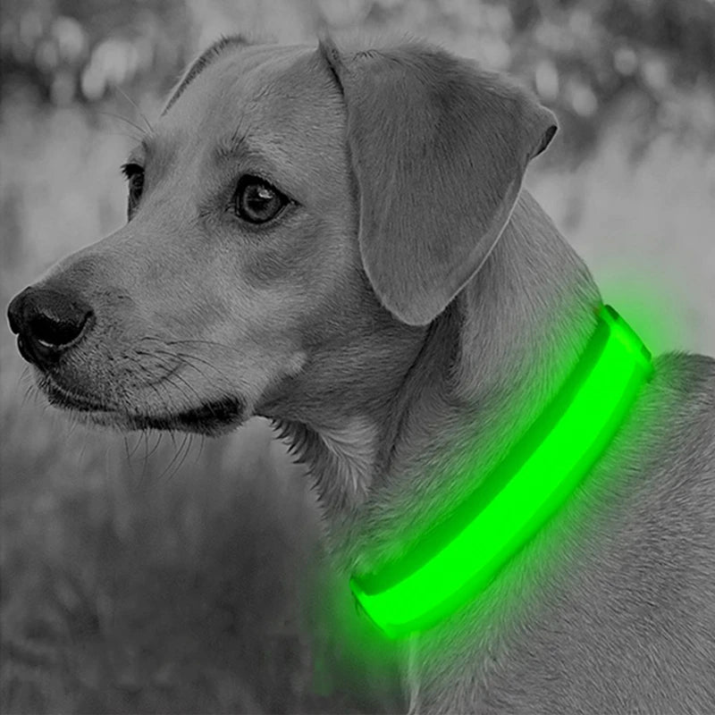 The Glow Up Collar — LED Luminous Dog Collar with Glitter Pendant, USB or Battery 🐕✨