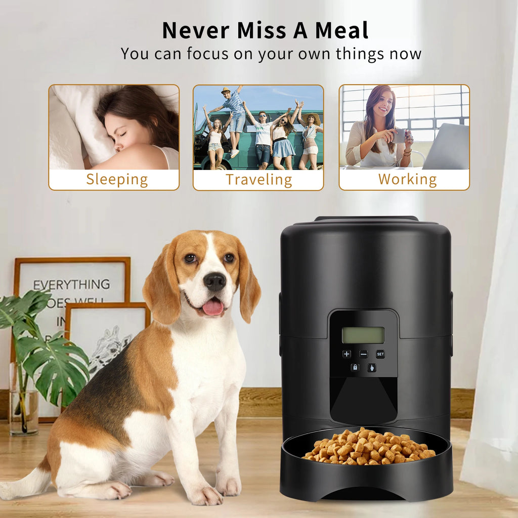 SmartFeed Pro – Feed Them Well. Even When You're Away. 🐾