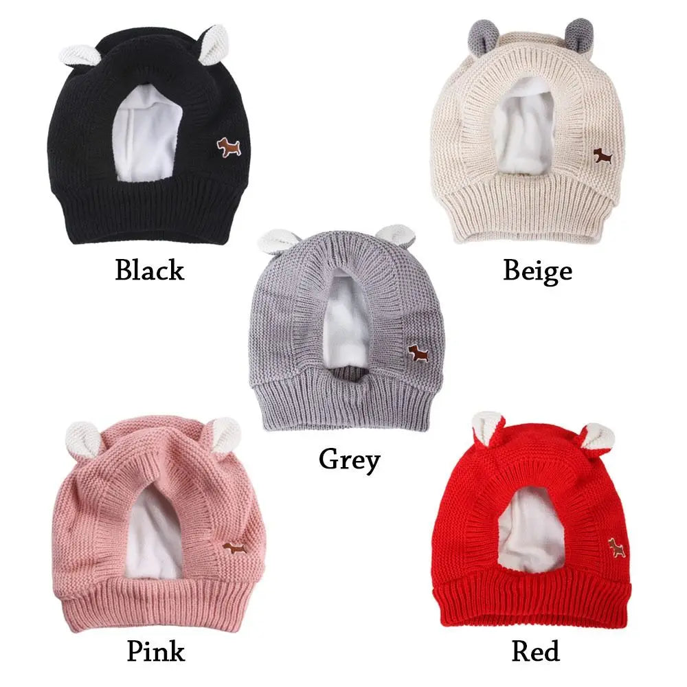 The Cozy Couture - Where cozy meets couture, because your pet deserves to serve looks too 🐾.
