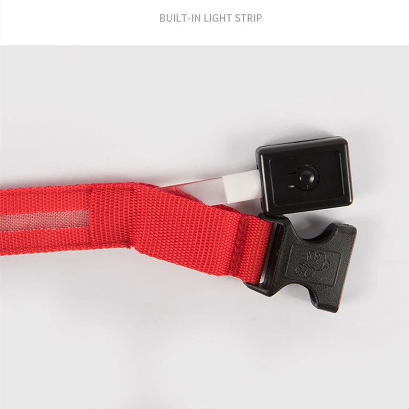 The Glow Up Collar — LED Luminous Dog Collar with Glitter Pendant, USB or Battery 🐕✨