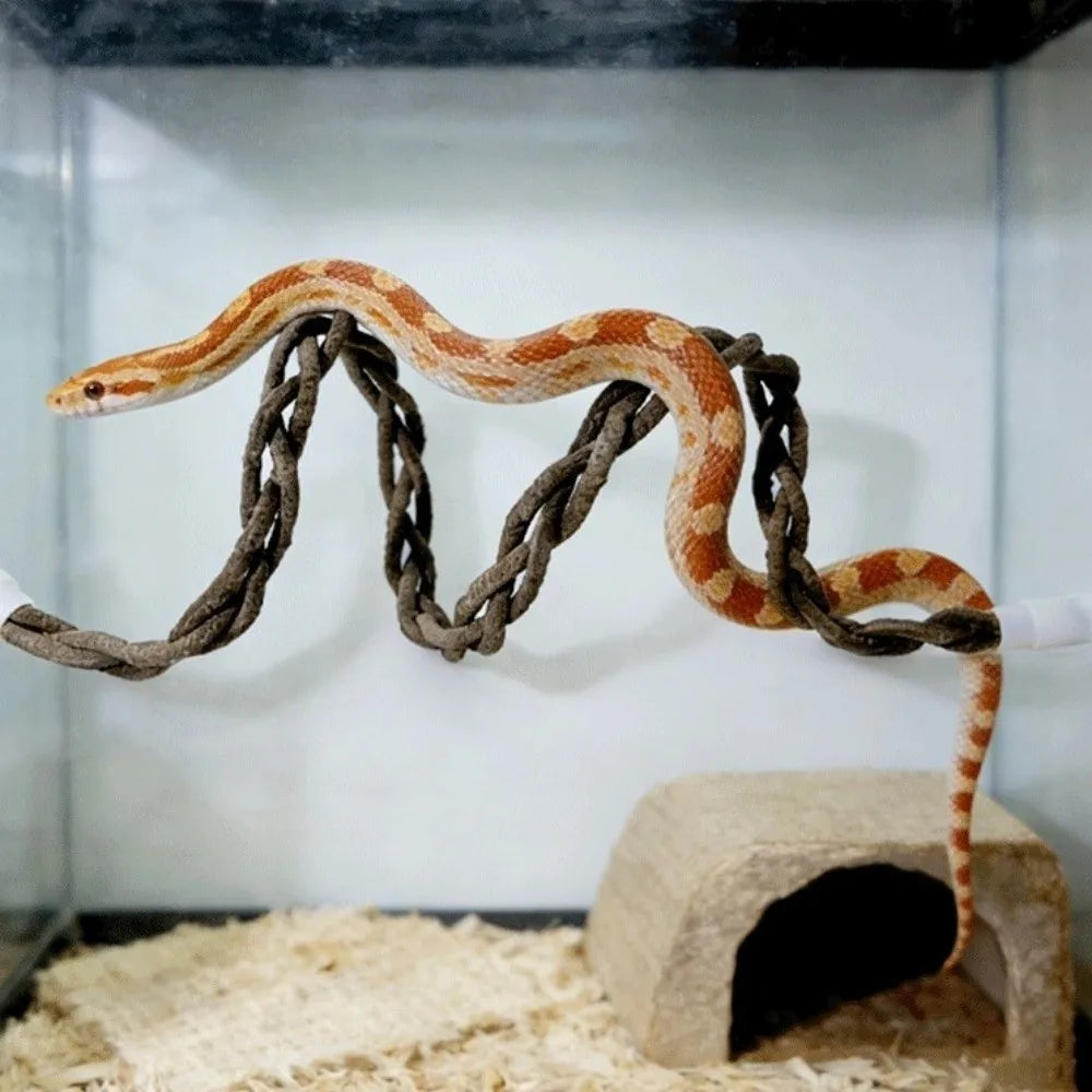 The Jungle Swing — Reptile Vine Hammock & Climbing Toy for Lizards & Birds 🦎🌿