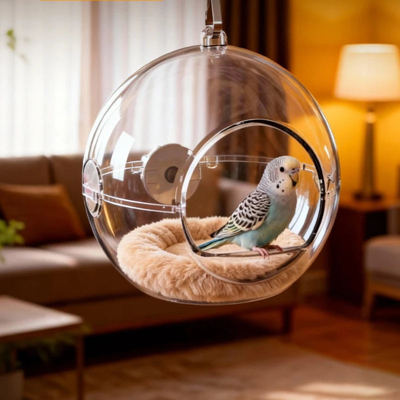 The Crystal Nest — Transparent Hanging Bird House for Parakeets & Small Parrots 🦜✨