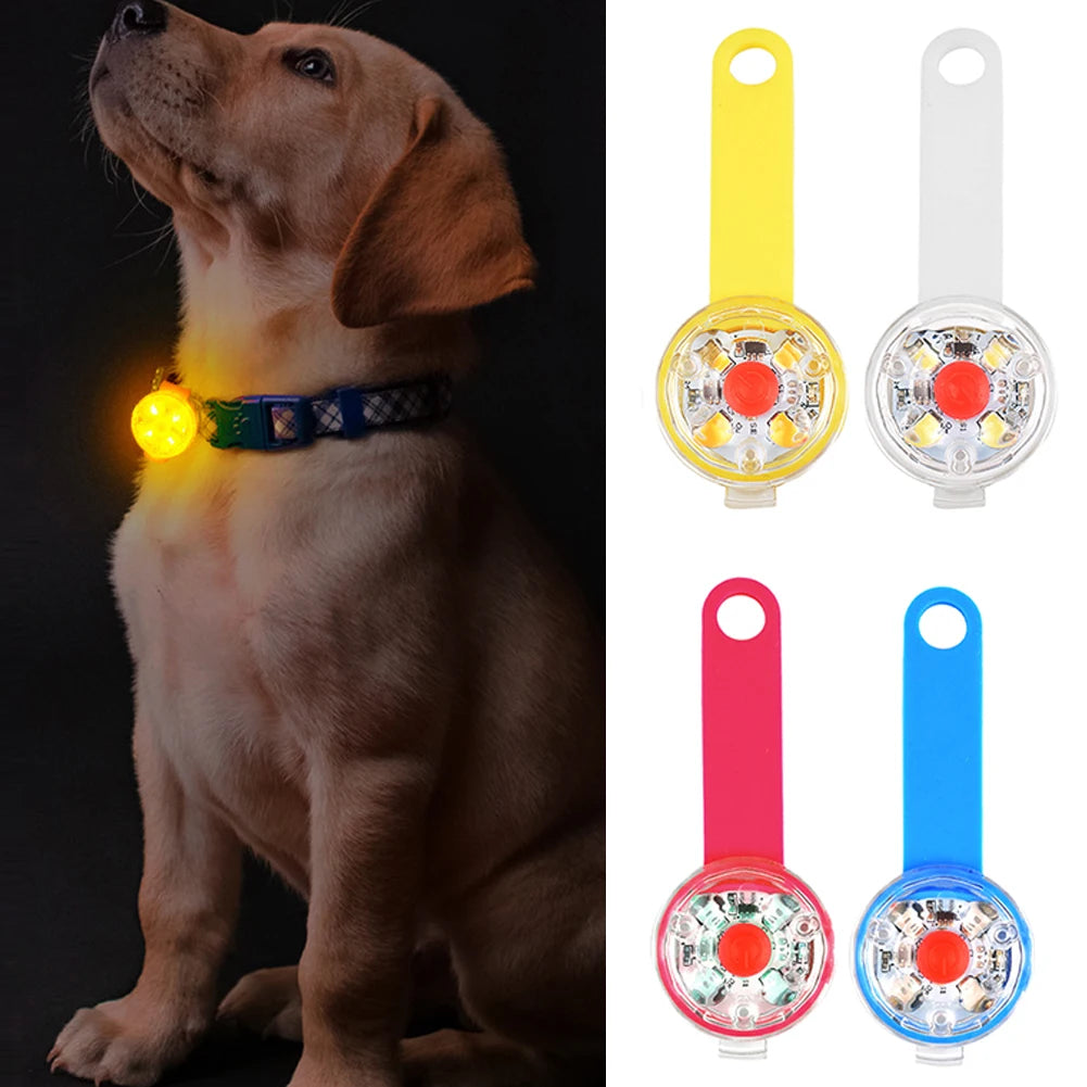The Night Light Tag — USB Rechargeable LED Safety Pendant for Dogs & Cats 🐕💡