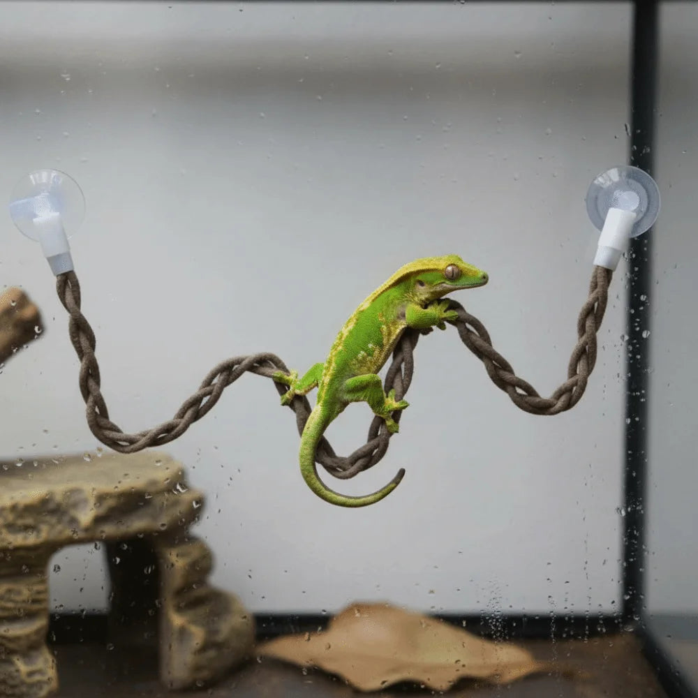 The Jungle Swing — Reptile Vine Hammock & Climbing Toy for Lizards & Birds 🦎🌿