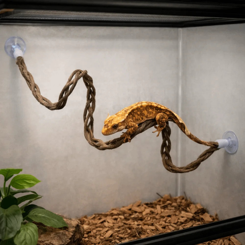 The Jungle Swing — Reptile Vine Hammock & Climbing Toy for Lizards & Birds 🦎🌿