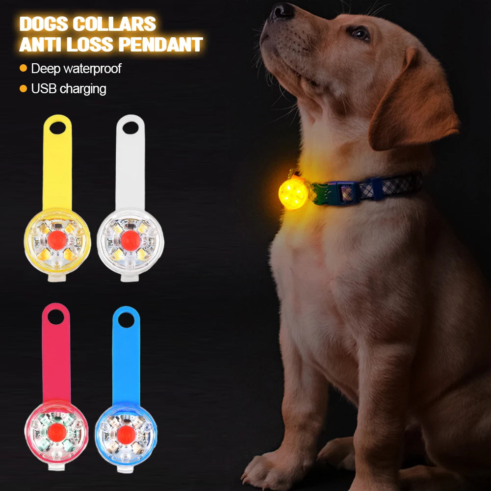 The Night Light Tag — USB Rechargeable LED Safety Pendant for Dogs & Cats 🐕💡