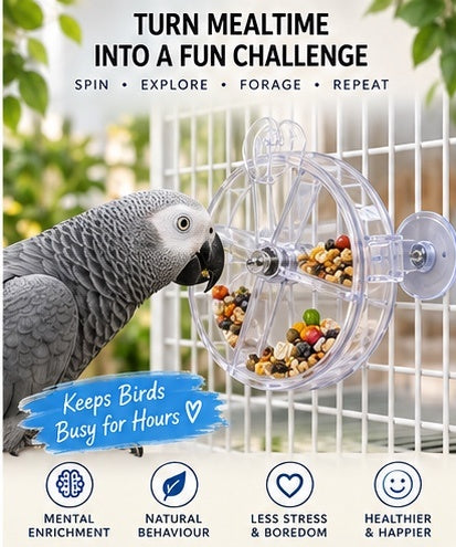 The Grand Forage Wheel — Rotating Treat Dispenser for Parrots & Macaws 🦜🌏