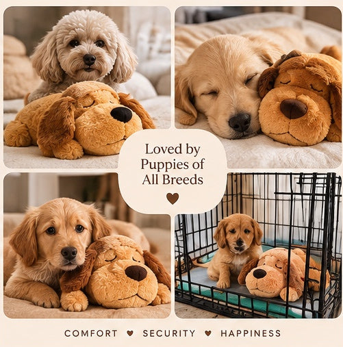 The Heartbeat Buddy — Anxiety Relief Plush Toy for Dogs & Cats 💞